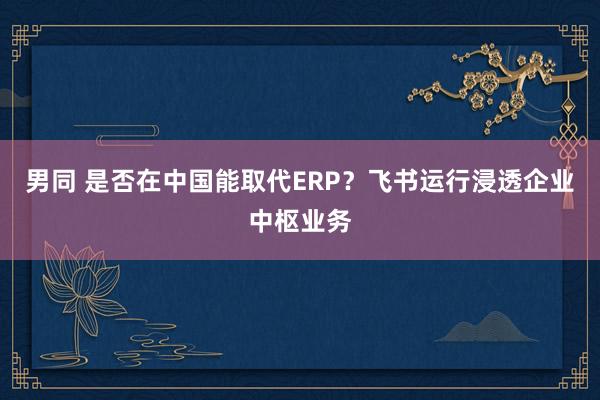 男同 是否在中国能取代ERP？飞书运行浸透企业中枢业务