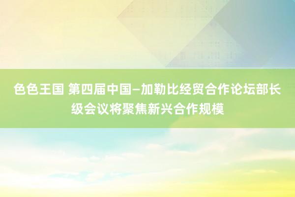 色色王国 第四届中国—加勒比经贸合作论坛部长级会议将聚焦新兴合作规模