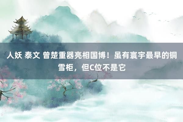 人妖 泰文 曾楚重器亮相国博！虽有寰宇最早的铜雪柜，但C位不是它