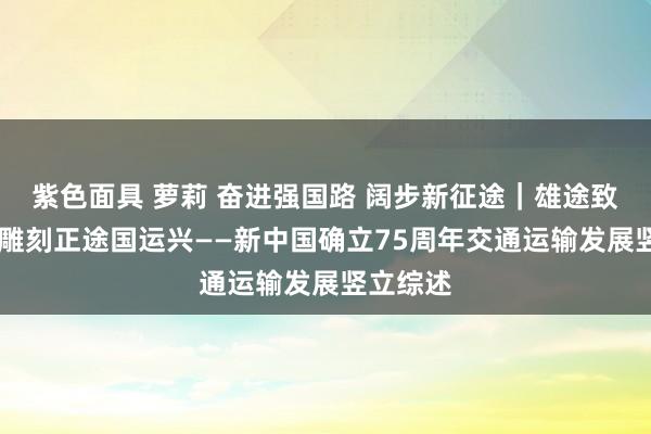 紫色面具 萝莉 奋进强国路 阔步新征途｜雄途致远通沉 雕刻正途国运兴——新中国确立75周年交通运输发展竖立综述