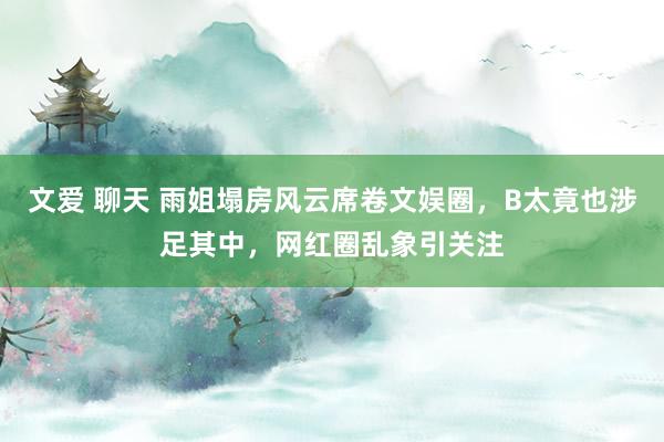 文爱 聊天 雨姐塌房风云席卷文娱圈，B太竟也涉足其中，网红圈乱象引关注