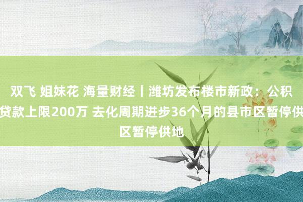 双飞 姐妹花 海量财经丨潍坊发布楼市新政：公积金贷款上限200万 去化周期进步36个月的县市区暂停供地