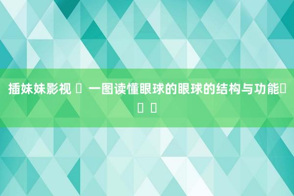 插妹妹影视 ✅一图读懂眼球的眼球的结构与功能✨✌️