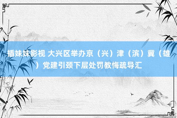 插妹妹影视 大兴区举办京（兴）津（滨）冀（雄）党建引颈下层处罚教悔疏导汇