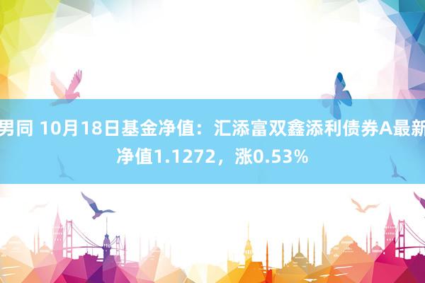 男同 10月18日基金净值：汇添富双鑫添利债券A最新净值1.1272，涨0.53%