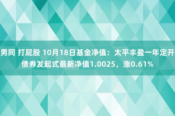 男同 打屁股 10月18日基金净值：太平丰盈一年定开债券发起式最新净值1.0025，涨0.61%