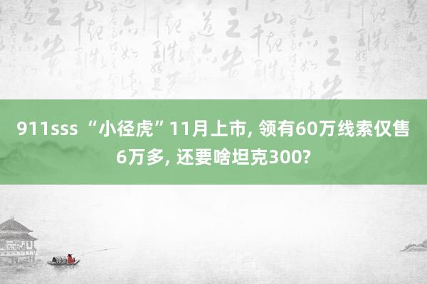 911sss “小径虎”11月上市， 领有60万线索仅售6万多， 还要啥坦克300?