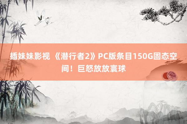 插妹妹影视 《潜行者2》PC版条目150G固态空间！巨怒放放寰球