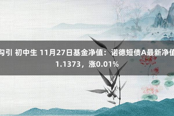 勾引 初中生 11月27日基金净值：诺德短债A最新净值1.1373，涨0.01%