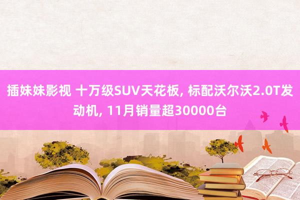 插妹妹影视 十万级SUV天花板， 标配沃尔沃2.0T发动机， 11月销量超30000台