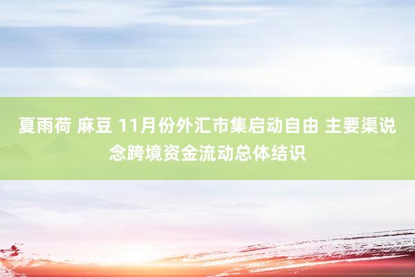 夏雨荷 麻豆 11月份外汇市集启动自由 主要渠说念跨境资金流动总体结识