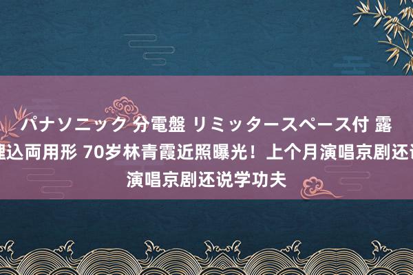 パナソニック 分電盤 リミッタースペース付 露出・半埋込両用形 70岁林青霞近照曝光！上个月演唱京剧还说学功夫