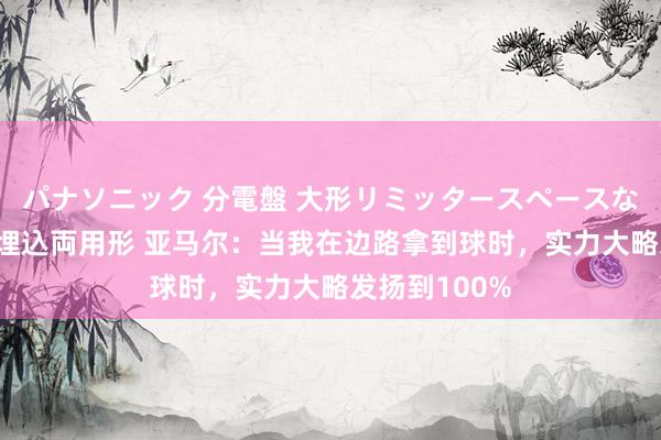 パナソニック 分電盤 大形リミッタースペースなし 露出・半埋込両用形 亚马尔：当我在边路拿到球时，实力大略发扬到100%