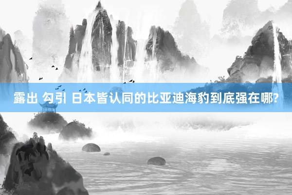 露出 勾引 日本皆认同的比亚迪海豹到底强在哪?