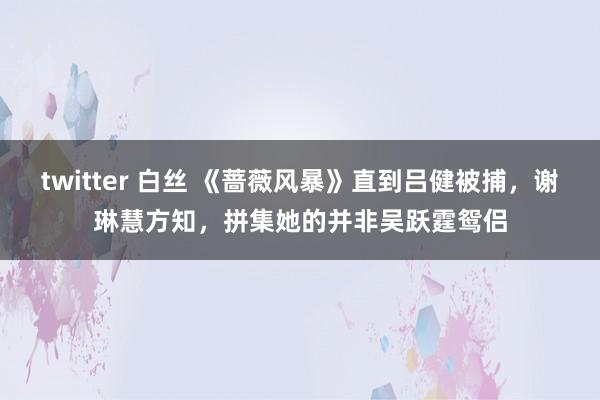 twitter 白丝 《蔷薇风暴》直到吕健被捕，谢琳慧方知，拼集她的并非吴跃霆鸳侣