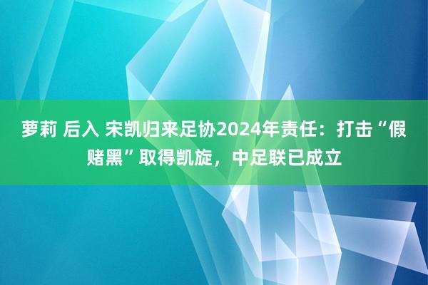 萝莉 后入 宋凯归来足协2024年责任：打击“假赌黑”取得凯旋，中足联已成立