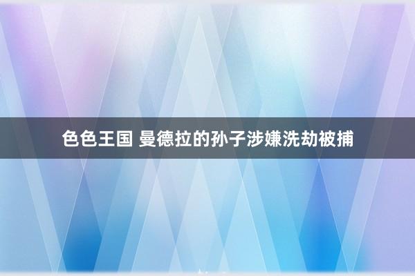 色色王国 曼德拉的孙子涉嫌洗劫被捕