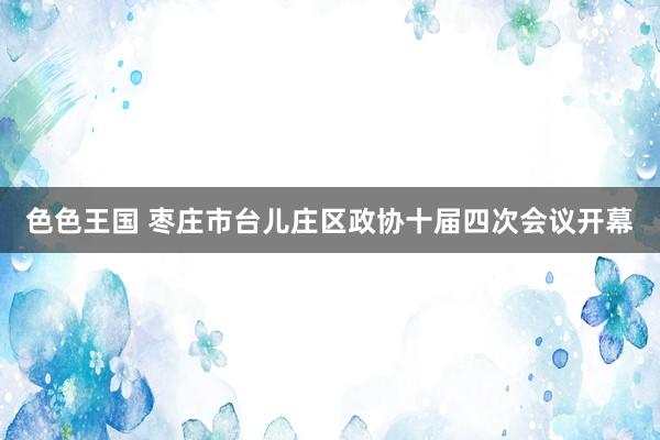 色色王国 枣庄市台儿庄区政协十届四次会议开幕