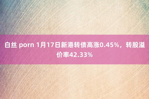 白丝 porn 1月17日新港转债高涨0.45%，转股溢价率42.33%