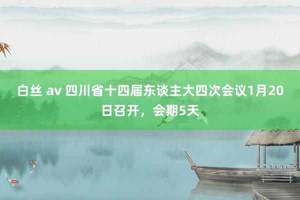 白丝 av 四川省十四届东谈主大四次会议1月20日召开，会期5天