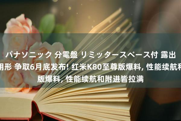 パナソニック 分電盤 リミッタースペース付 露出・半埋込両用形 争取6月底发布! 红米K80至尊版爆料， 性能续航和附进皆拉满