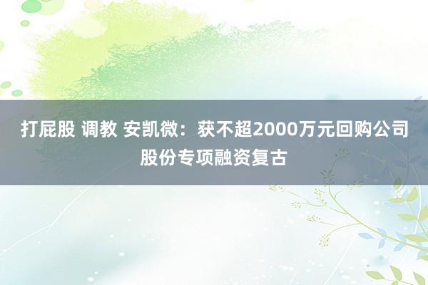 打屁股 调教 安凯微：获不超2000万元回购公司股份专项融资复古
